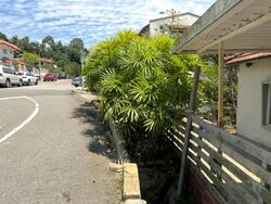 Adelphi Park Estate (D20), Terrace #617546701